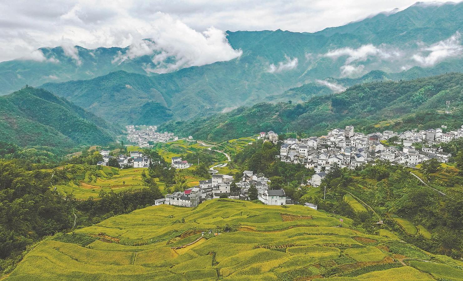 安徽,历史文化的瑰宝与现代发展的活力交汇之地