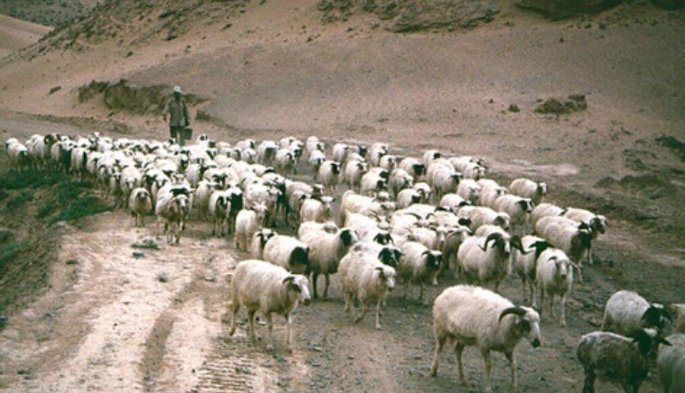 宁夏,民族团结进步典范与西部大开发战略支点